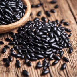 Fresh Bulk Black Bean Seeds Black Valentine Heirloom 400 Fresh NONGMO FREE SHIPPING