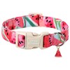 Unique style paws Dog Collar Quick Release Cotton Watermelon Collar