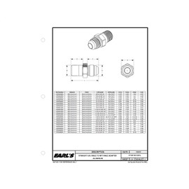 Earl's AT981604ERL Straight Male AN -4 to 1/8 in. NPT