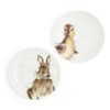 Wrendale Coupe Plates - Rabbit Duckling - Set of 2