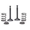 BMP Intake Exhaust Valve Spring Set For DuroMax XP7HPX 212cc