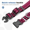Reflective Martingale Dog Collars. Dog Collar with Quick Release Buckle.