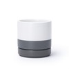 D'vine Dev 4.7 Inch Ceramic Planter Pot with Drainage Hole