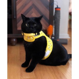 Cat Harness with Leash and Collar for Walking - Escape Proof with Leash - Adjustable Soft Vest Harnesses for Medium Large Cats (Bee, XS)
