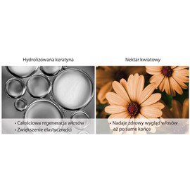 Schwarzkopf Gliss Kur Total Repair Shampoo 400 ml / 13. 3 fl oz