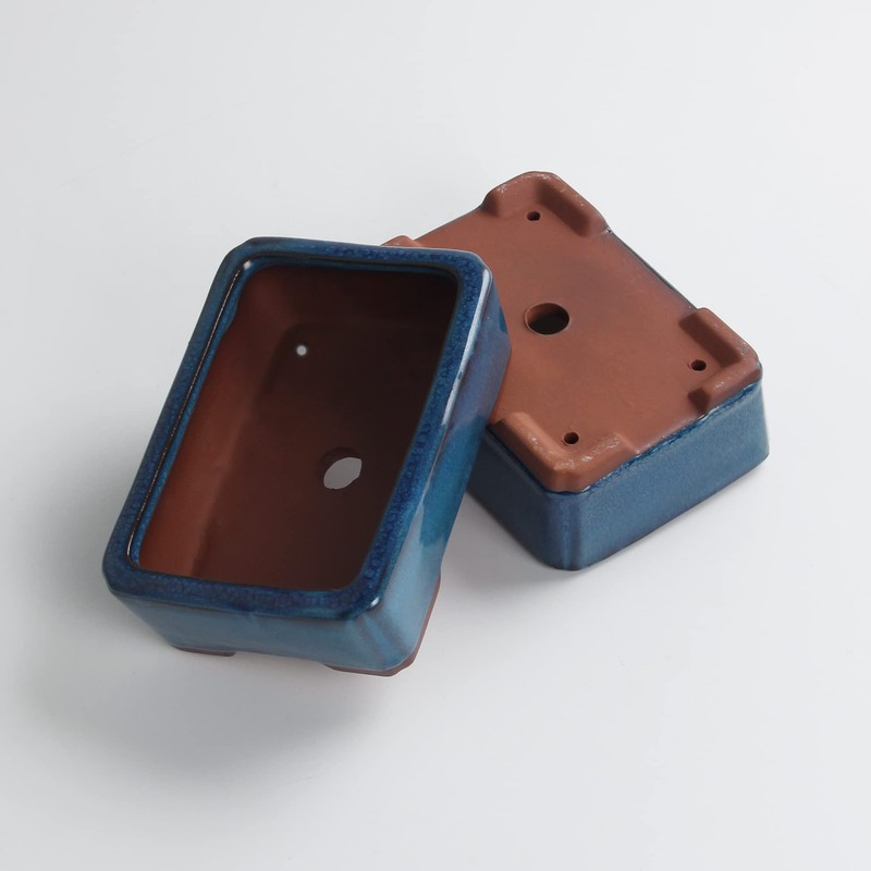 Bonsai Planter 5.5" Small Glazed Pots Succulent Set of 2