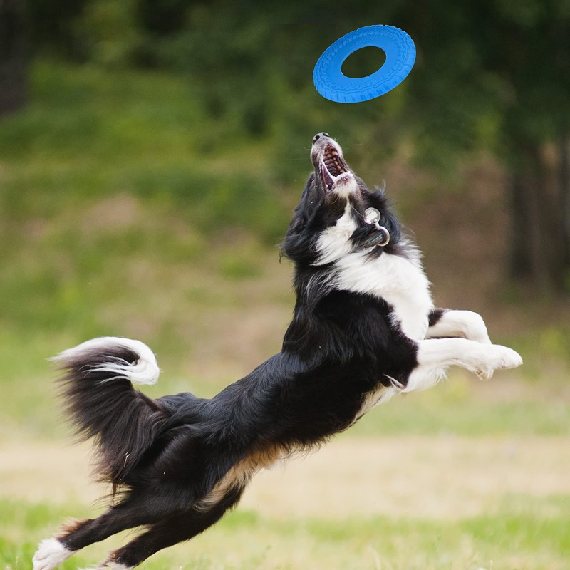 Nerf Dog Rubber Tire Flyer Dog Toy, Flying Disc, Lightweight,