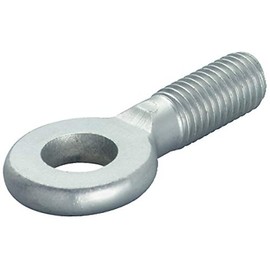 Fischer 79697 Eye Screw AG M 10 x 25 Pack of 1