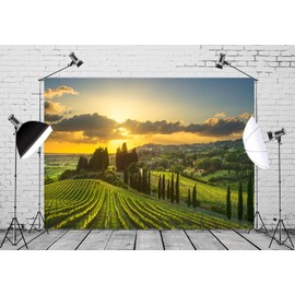Loccor 7x5ft Fabric Vineyard Backdrop Tuscany Countryside Vineyard Sunset Landscape Photography Background Wedding Celebration Birthday Party Baby Shower Photo Booth Props