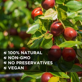 NESTLADY Premium Pitted Jujube Dates,Red Dates, 1LB(454g), 100% Natural Sun-Dried Red Dates, Pitted, Sweet & Chewy Dried Fruit Snack, Improve Sleep, Healthy Superfood, Packed in USA, Hong Zao