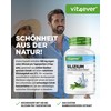 vit4ever Silicon - 365 Capsules - 500 mg Organic Silicon