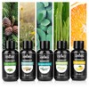 Sample set sauna fragrance, sauna pour concentrate, 6 bottles of