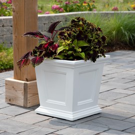 Mayne Fairfield 16in Square Planter - White - Durable Self Watering Resin Planter (5887-W)