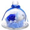 TEATSIGHT Preserved Flower Arrangement, Wrapped, In a Glass Pot, 2 Flowers