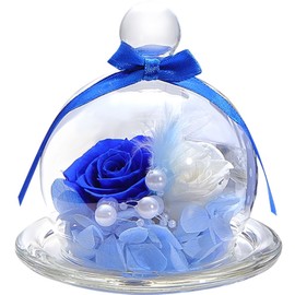 TEATSIGHT Preserved Flower Arrangement, Wrapped, In a Glass Pot, 2 Flowers