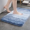 TECHMILLY Bath Mat, Ultra Thick, Washable, Fluffy, Bath Mat, Anti-Slip,