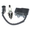 Coil Ignition With Spark Plug BM6A For Echo Blower ES-255
