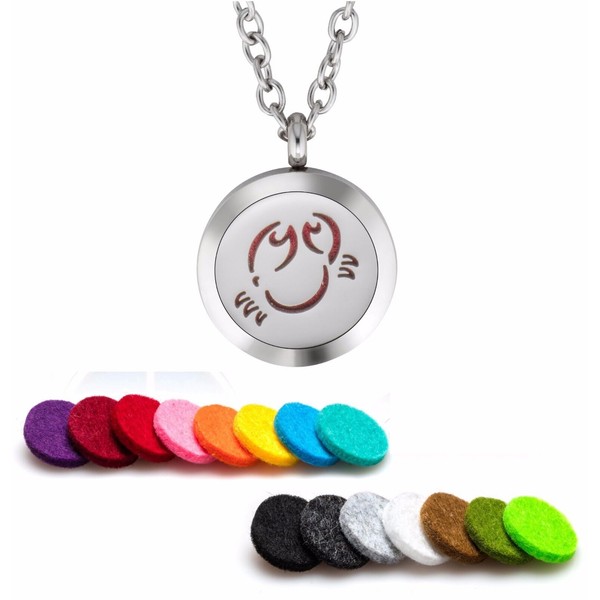 Essential Oil Diffuser Necklace Locket Pendant Stainless Steel Zodiac