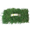 SodPods® Centipede Grass Plugs for Lawn Repair, 3" x 3"