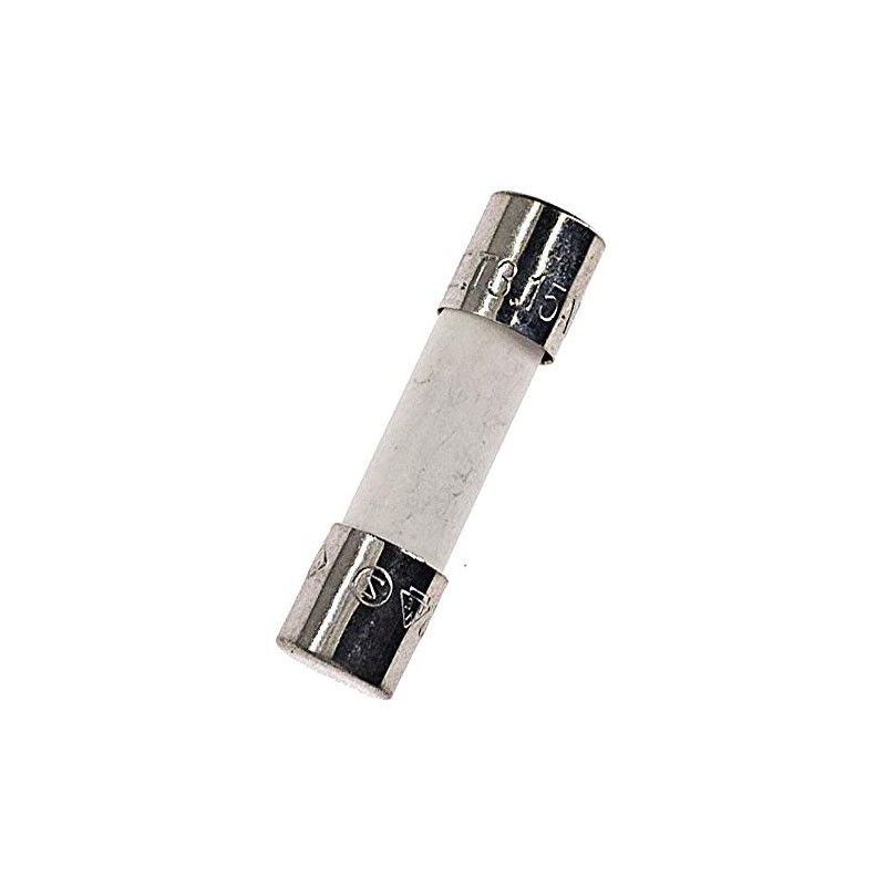 10PCS Ceramic fuses T3.15AH250V Slow-Blow 5x20mm/0.197"x0.787" 3.15AMP 250V (T3.15A)