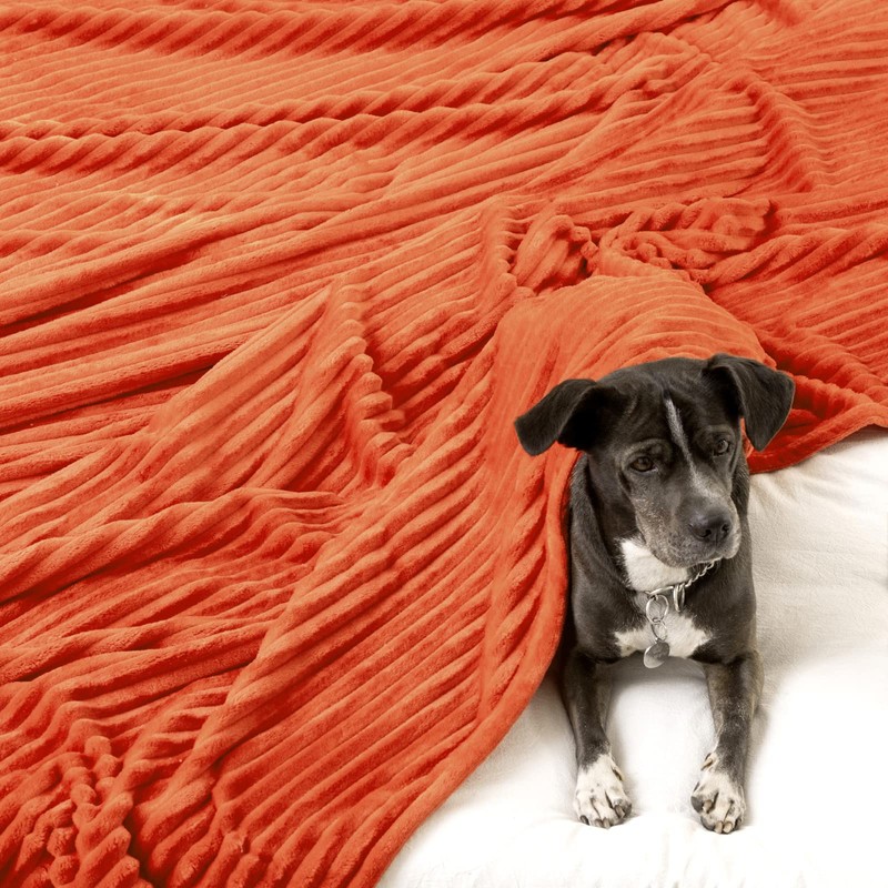 MIULEE Cuddly Fleece Blanket, Flannel Blanket, Plain Blankets, Couch Blanket,