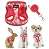 SCENEREAL Cat Harness & Leash Set Escape Proof - Adjustable