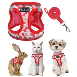SCENEREAL Cat Harness & Leash Set Escape Proof - Adjustable Air Mesh Vest with Reflective Strips for Kittens, Puppies, Rabbits, Cherry S