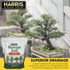 Harris Bonsai Soil, All Purpose Premium Blend for Outstanding Growth,