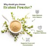 H&C HERBAL INGREDIENTS EXPERT H&C Brahmi Pulver (Bacopa Monnieri) C