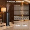 Waterless Scent Diffuser Starter Kit with 5 Scent Essential Oils,
