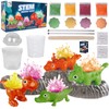 Crystals Breeding Experiment Set for Children, 4 Colours Dinosaur Crystals