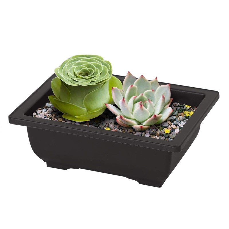 MANCHAP 24 PCS 6.5 Inch Plastic Bonsai Training Pots, Rectangular