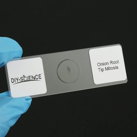 Onion Root Tips Mitosis Microscope Slides Set, 25PCS Pack Slides Show Plant Mitosis for Biology Science Class (25 Count)