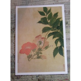 Vintage 1982 Folded Blank Greeting Note Card NASTURTIUM by Yun Shou-p'ing