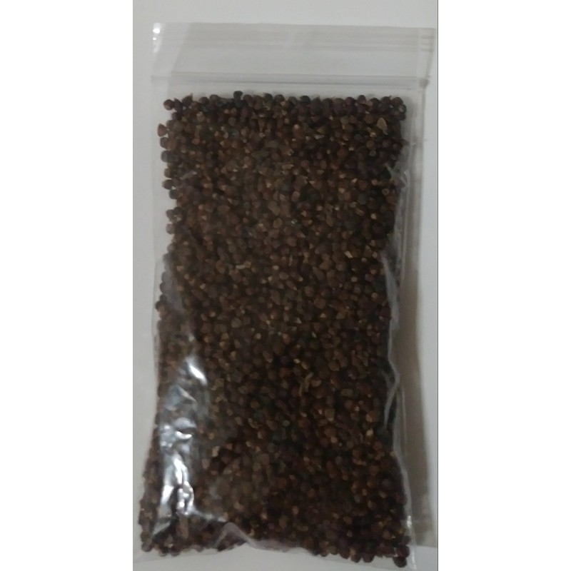 2 Set Pimienta de Guinea africana Guinea pepper grain of