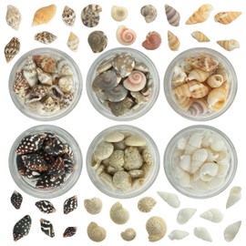 Gehaiwo 6 Boxes of Sea Shell Nail Charms,Summer Beach Ocean for Nails Design,Nail Art Supplies DIY