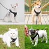 Breathable Cat Harness Set, Dogs Escape Proof Reflective Harness, Permanently