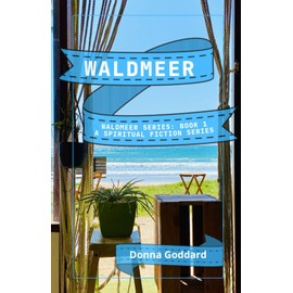 Waldmeer: A Spiritual Fiction Series (Waldmeer Series)