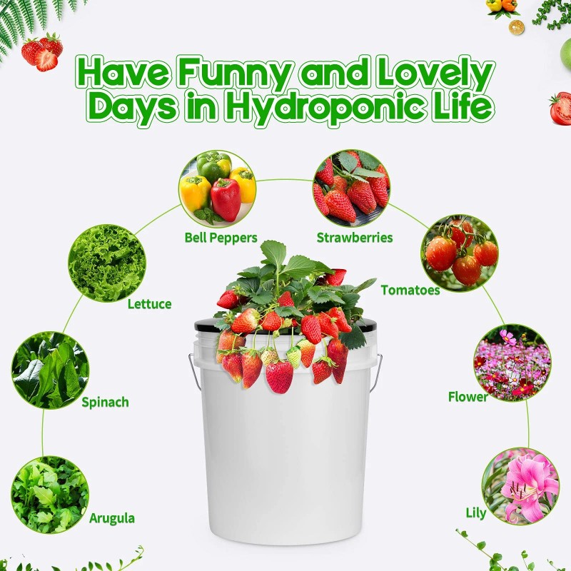 Tectsia 6 Inch Net Pots for 5 Gallon Bucket Wide