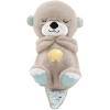 Fisher Price Nutria De Mattel Para Bebés 0-6 Meses