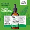 Wild & Organic White Willow Bark Extract Liquid Drops -