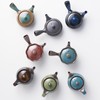 Banko Ware 18365 Teapot, Hanakado, For 2 People, Capacity: Approx.