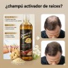 Shampoo Rapunzel Romero Jengibre Estimula Crecimiento