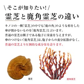 霊芝 冬虫夏草の店 鹿角霊芝 冬虫夏草 サプリメント β-グルカン コルジセピン配合 国内産 無農薬 無添加 錠剤 180粒 30日分
