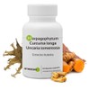 Joint Pain * Harpagophytum, Curcuma, Uncaria Tomentosa (Cat Claw) *