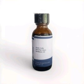 Synergy Essentials Frankincense serrata SD 100% essential oil 30 ml India Boswellia, made France