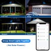 EMANER Smart Security Light Motion Sensor, Compatible with Alexa/Google Home,