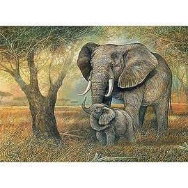 Pracht Creatives Hobby Diamond Painting Set, Picture with Elephant Motif and Accessories, Size Approx. 35 x 25 cm, Craft Set for Painting with Rhinestones for Children from 5 Years