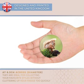 Destination Vinyl ltd Magnet for Refrigerator, Fridge - Cute Red Squirrel Garden Animal for Office, Cabinet and Whiteboard, Magnetic Stickers, 15791