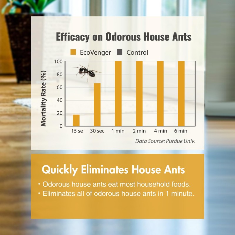 EcoRaider Ant & Crawling Insect Killer (34 OZ), 100% Fast